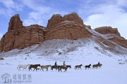 追求女神时，是展示高价值的自我，还是殷勤地对待对方，更有可能追到？