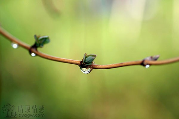 恋爱聊天时，如何发掘对方感兴趣的话题？